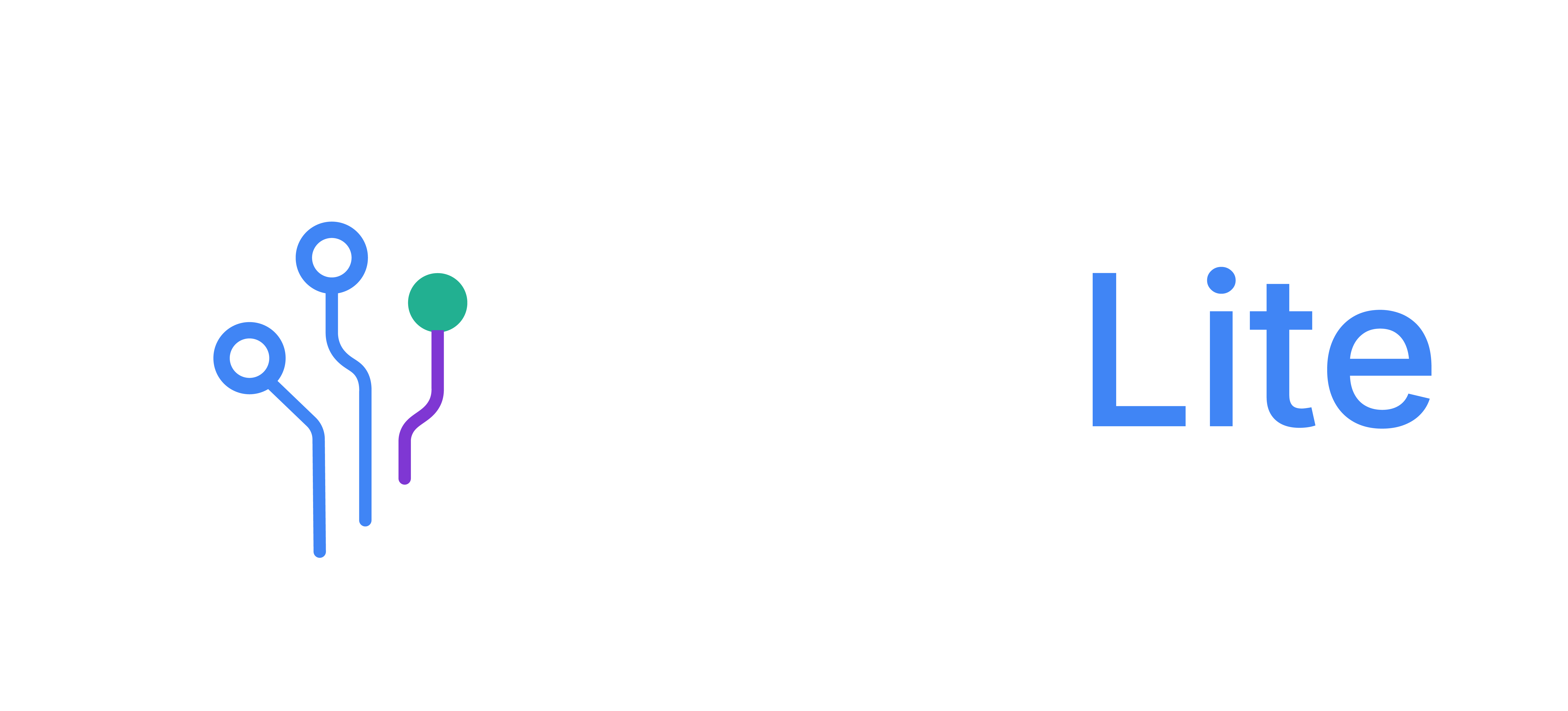 DataLite Spa.