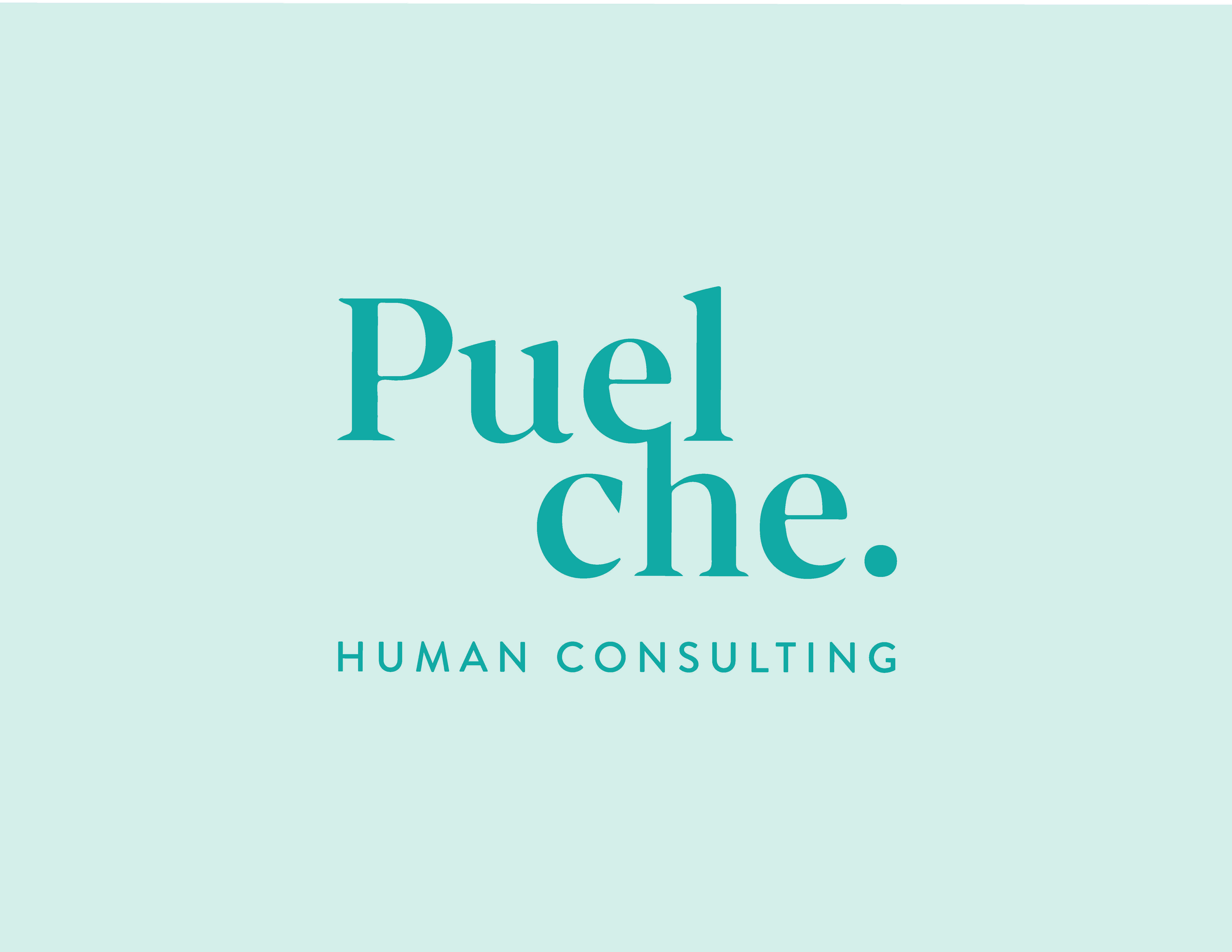 Puelche Human Consulting SPA